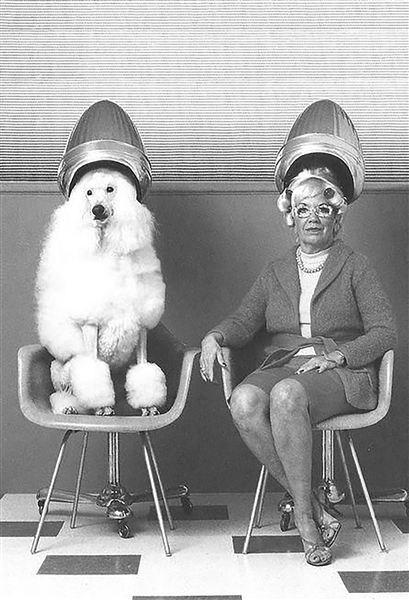Peluqueria / Barberia